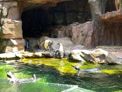 -长鹿旅游休博园