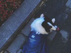-泰合玺·精油疗愈SPA(南京光环花园城店)