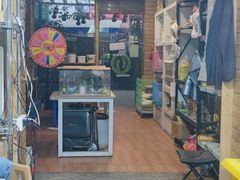 -明明手养鹦鹉(堤角花鸟宠物大世界店)