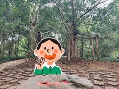 -中国科学院西双版纳热带植物园