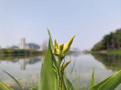 -南宁南湖公园