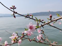 -杭州湖滨in77