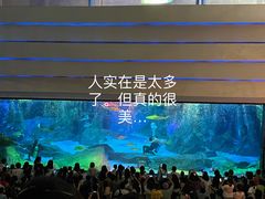 -海合安成都极地海洋公园