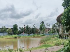 -光明小镇欢乐田园
