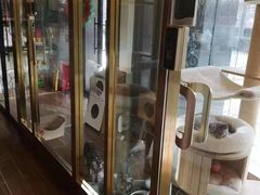 -猫大福·Fortune Cat猫舍(百子湾店)