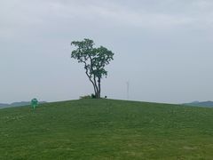 -东钱湖旅游度假区