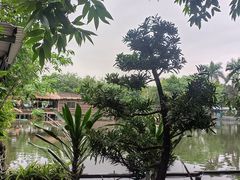 -绿雅居原生态农庄(小涌店)