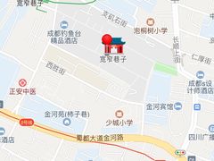 小龙翻大江-小龙翻大江文化火锅(宽窄店)