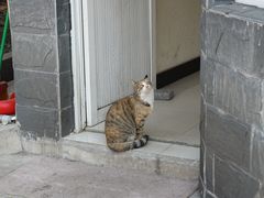 -苏州河梦清园环保主题公园