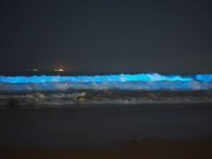 -西涌国际滨海旅游区