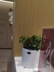 -Yestar杭州艺星医疗美容医院