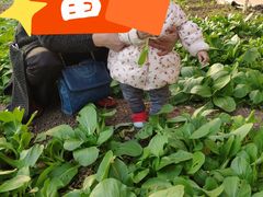 -万源龙顺度假庄园生态观光园