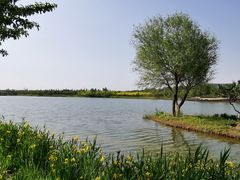 -东郊湿地公园