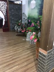 -盘子古摄影(顶务店)