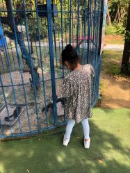 -萌宠亲子动物乐园(槐房万达店)