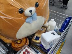 -山姆会员商店(亦庄创意生活广场店)
