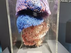 -生命奥秘博物馆