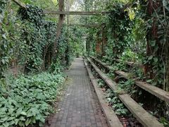 -南宁良凤江国家森林公园