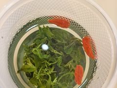 -百瑞源枸杞(玉皇阁店)