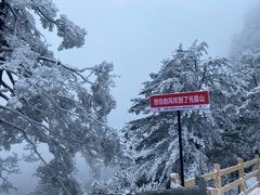 -光雾山旅游景区