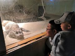 -新疆天山野生动物园