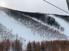 -密苑云顶乐园(云顶滑雪场)