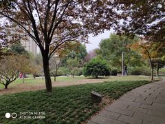 -宁波儿童公园(鄞州区)