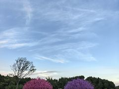 -仙海旅游度假区