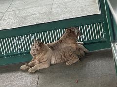 -秦皇岛野生动物园