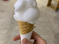 接骨木花雪芭-歎雪糕低糖低脂Gelato冰淇淋