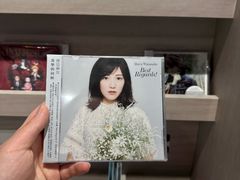 -浣熊唱片店(上海影城店)