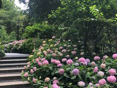 -常州古运河南大街文化旅游区-人民公园