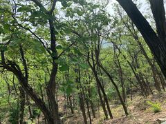 -阳台山自然风景区