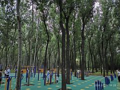 -森林公园(尖草坪区)