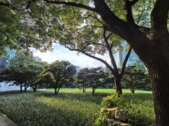 -静安公园(静安寺街道)