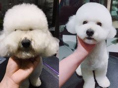 -Oh My Dog宠物沙龙(伊珊娜皮毛护理店)