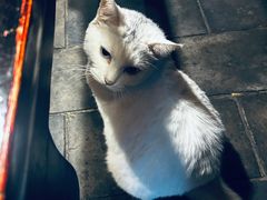 -张记牛肉面馆(天津路店)