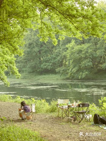宁波周边游｜这里不止露营️，还能遇见日光绿