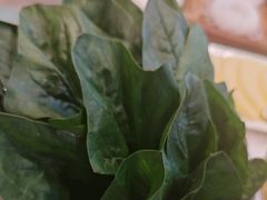 -前门·鲜肉火锅(长风店)