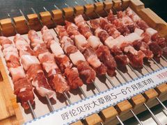 呼伦贝尔羊肉串-很久以前羊肉串(昌里路三钢里店)