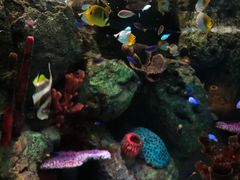 -沈阳海洋探索中心