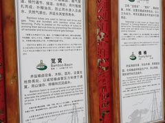 -燊海井