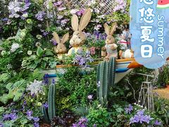 -深圳仙湖植物园