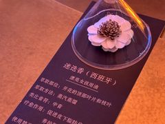 -舒小悦·舒养SPA·古法推拿(光环中心店)