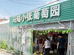 -马陆小张葡萄园农家乐