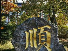 -汉口重油烧卖(钟家村店)