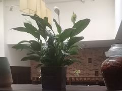 -毛家饭店·融合新湘菜·主题宴(齐鲁软件园店)
