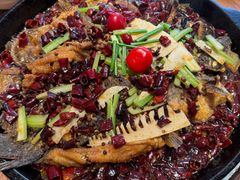 -老板恋上鱼(恒隆广场店)