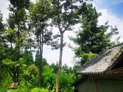 -玉舍国家森林公园