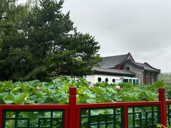 -大明幻境第一城